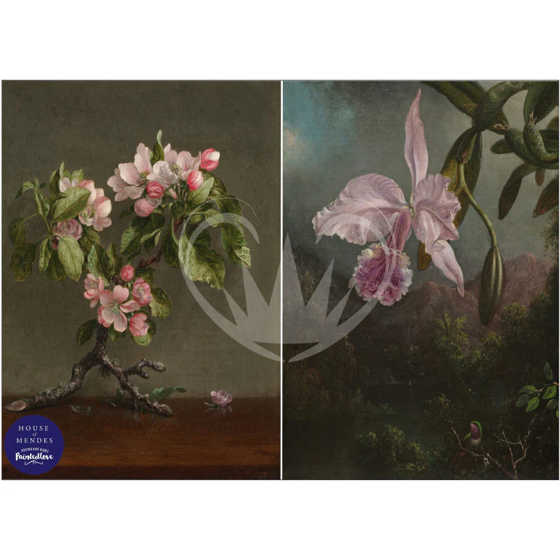 Carta da Découpage "Apple Blossom & Orchid" in Carta di Riso Posh chalk 60x84cm