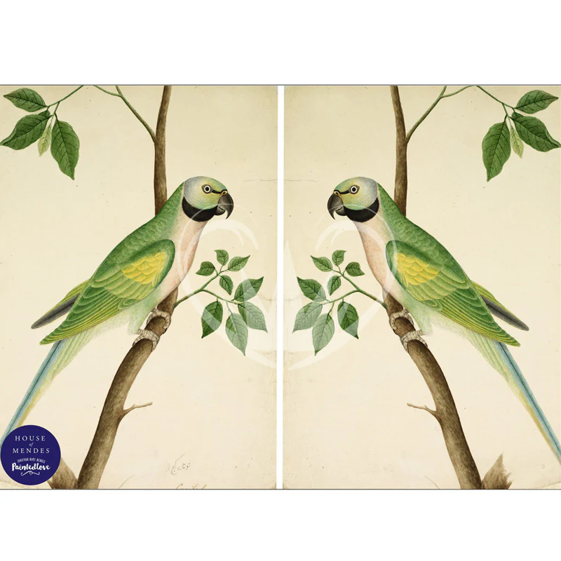 Carta da Découpage "Exotic Parakeets" in Carta di Riso Posh chalk 30x42cm