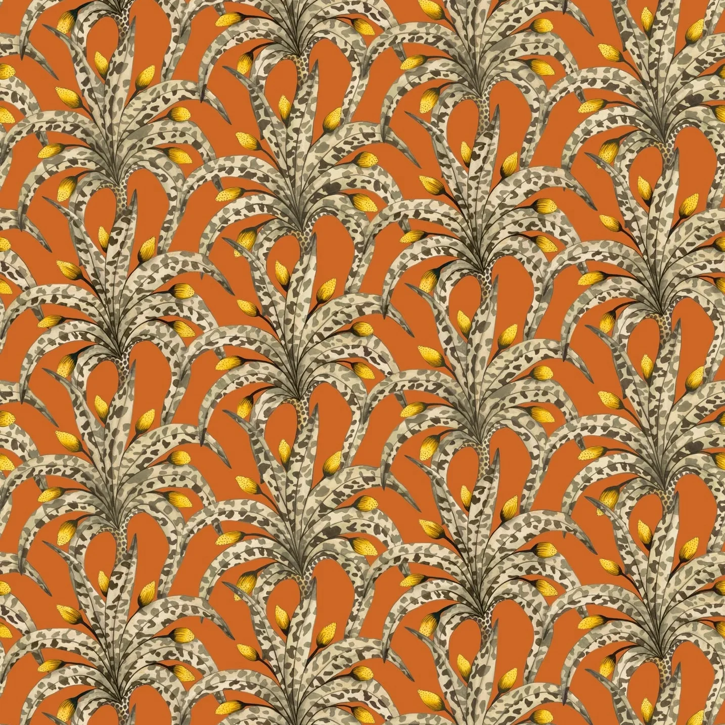 Carta da Parati “Afrika Damask arancione" | COLE & SON ARDMORE BAOBAB