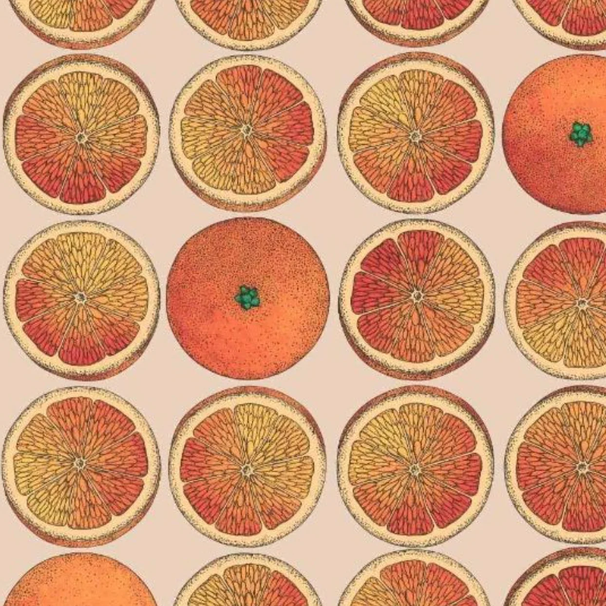 Carta da Parati "Arance arancioni" Fornasetti | COLE & SON