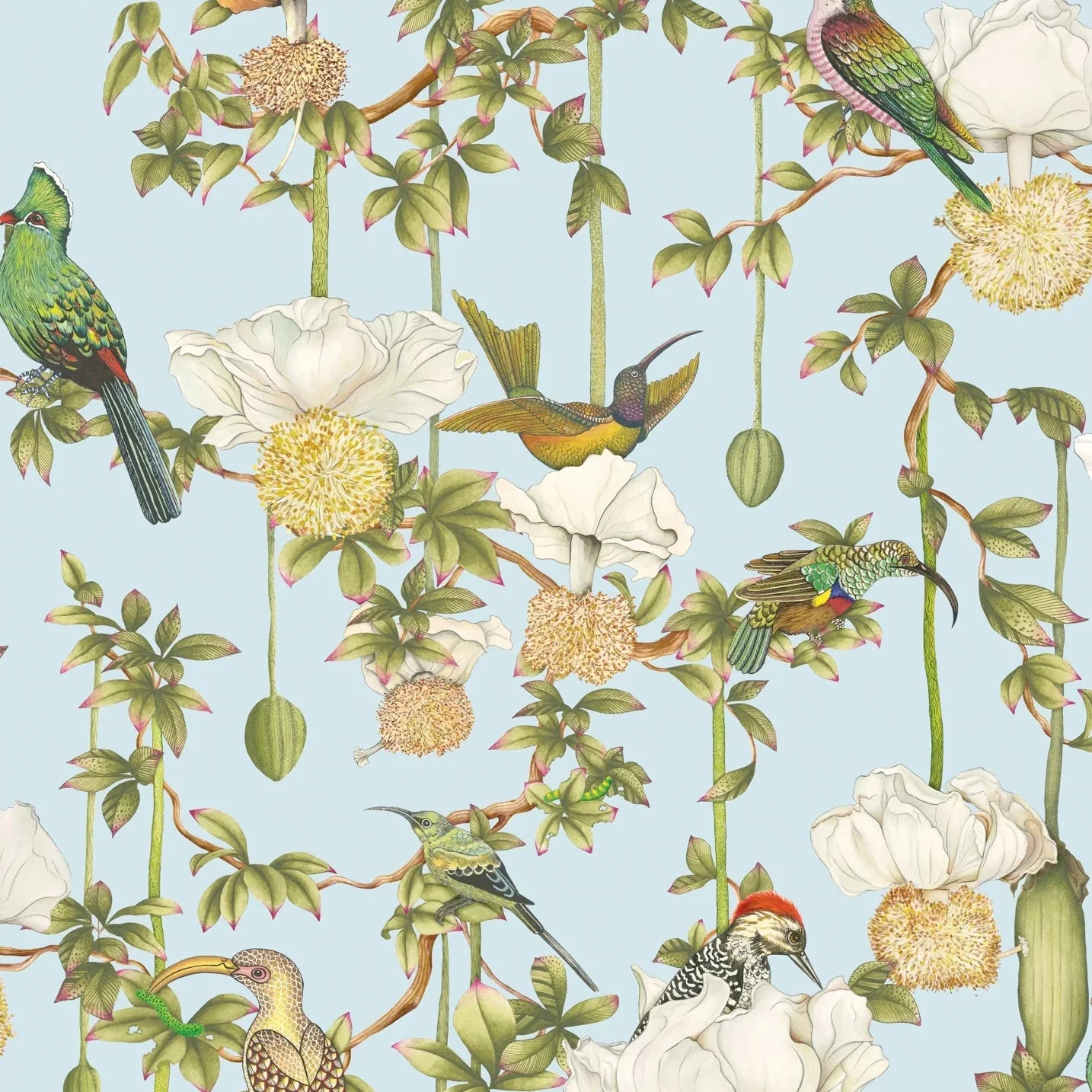 Carta da Parati “Baobab Botanica celeste" | COLE & SON ARDMORE BAOBAB