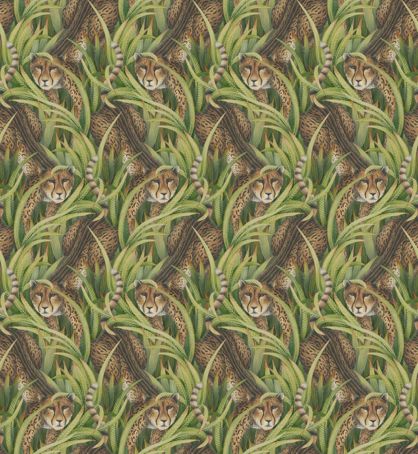 Carta da Parati “Cheetah Prowl verde" | COLE & SON ARDMORE BAOBAB