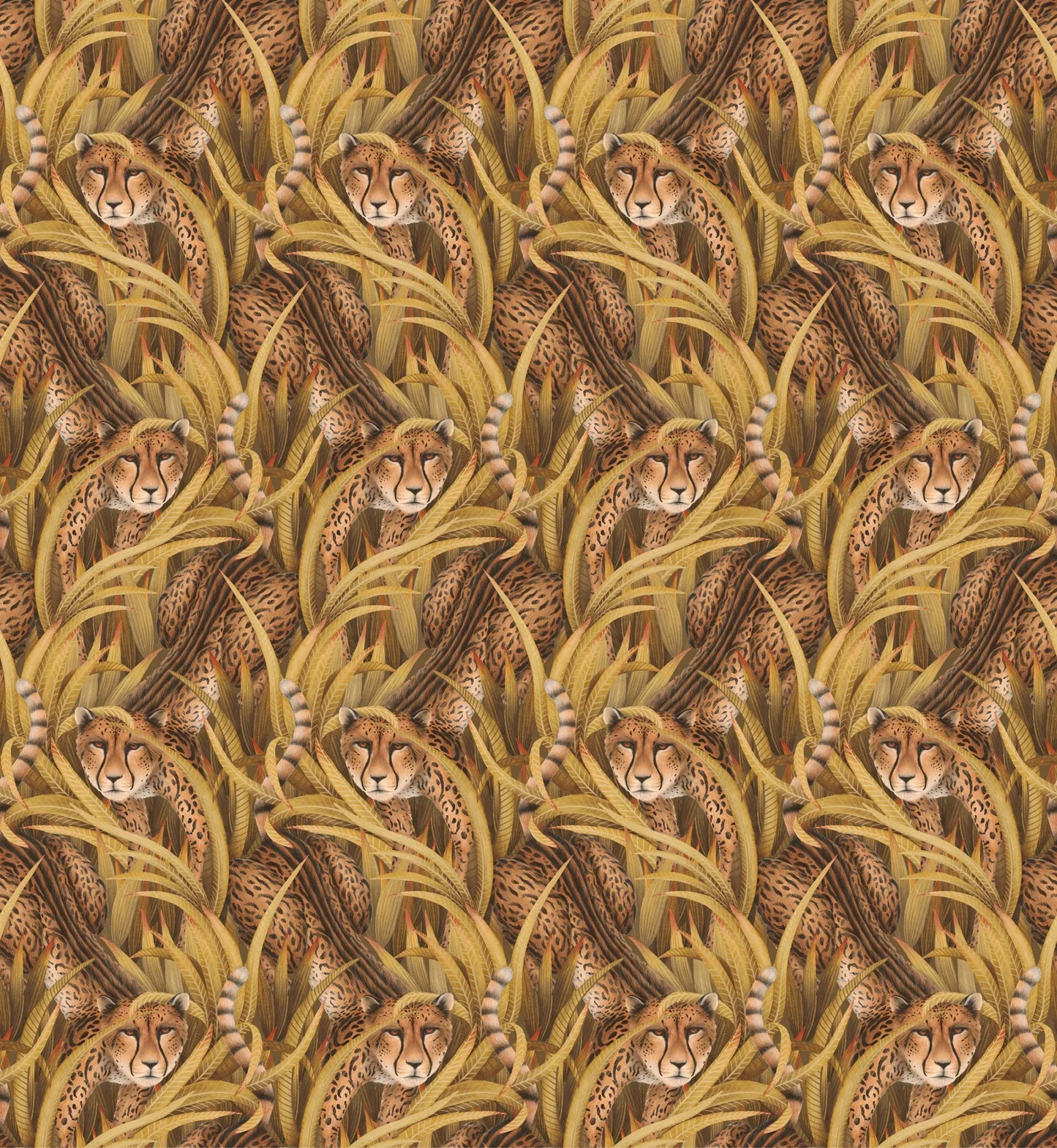 Carta da Parati “Cheetah Prowl giallo" | COLE & SON ARDMORE BAOBAB