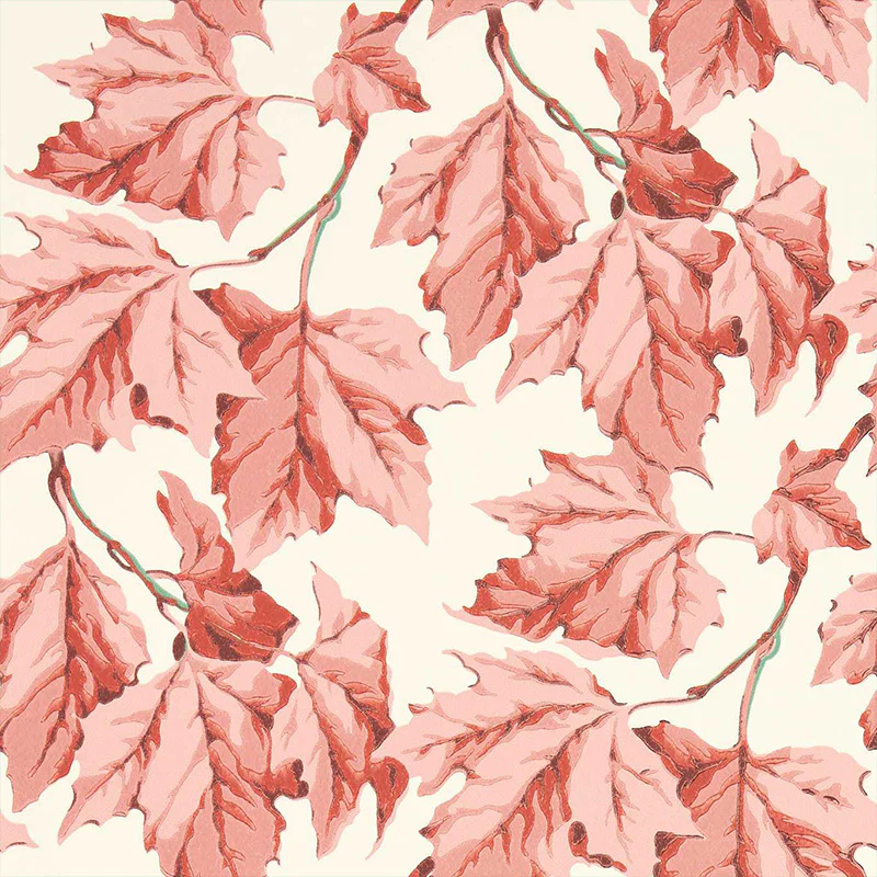 Carta da Parati “DAPPLED LEAF ROSE QUARTZ” | HARLEQUIN