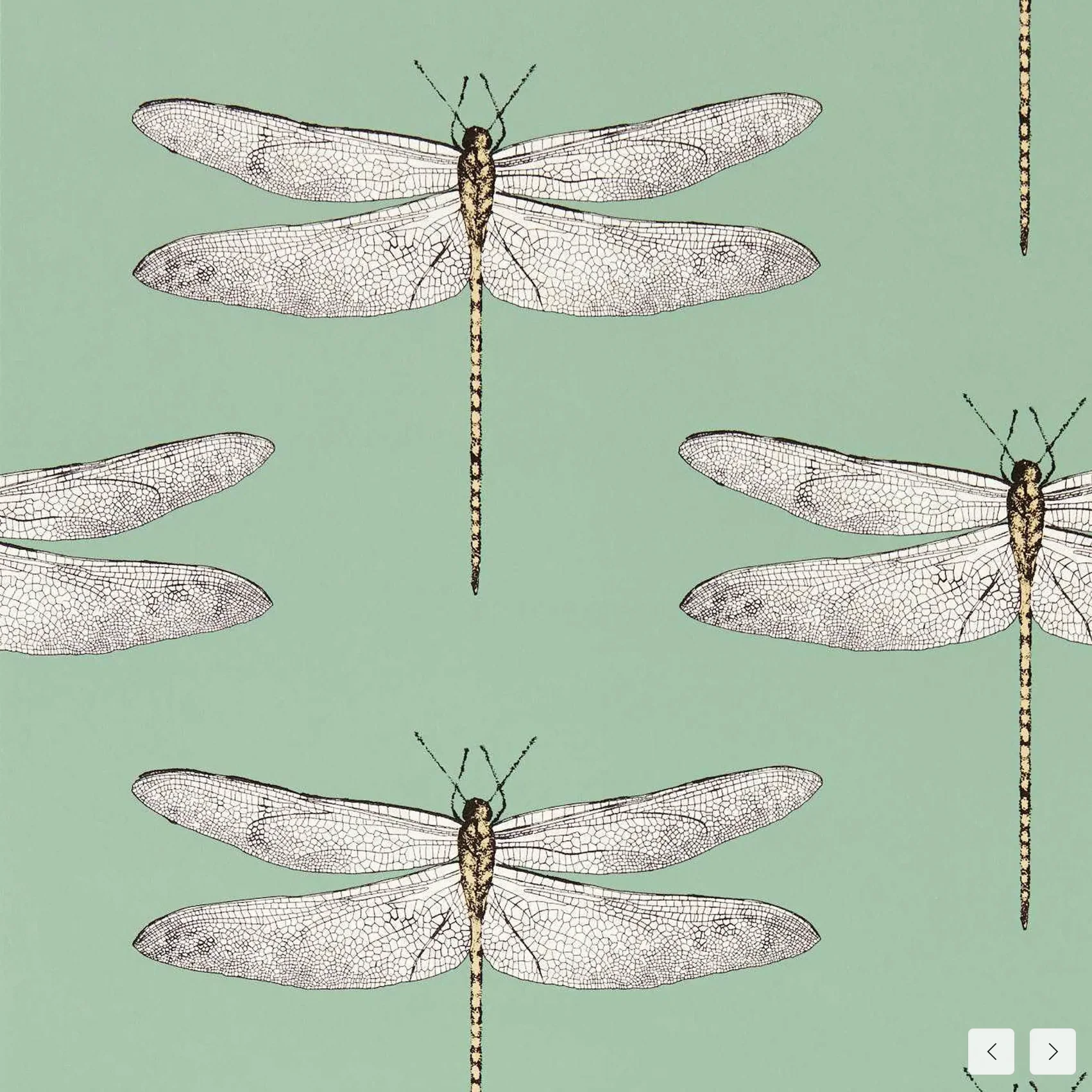Carta da Parati “Demoiselle Verde Chiaro” | HARLEQUIN