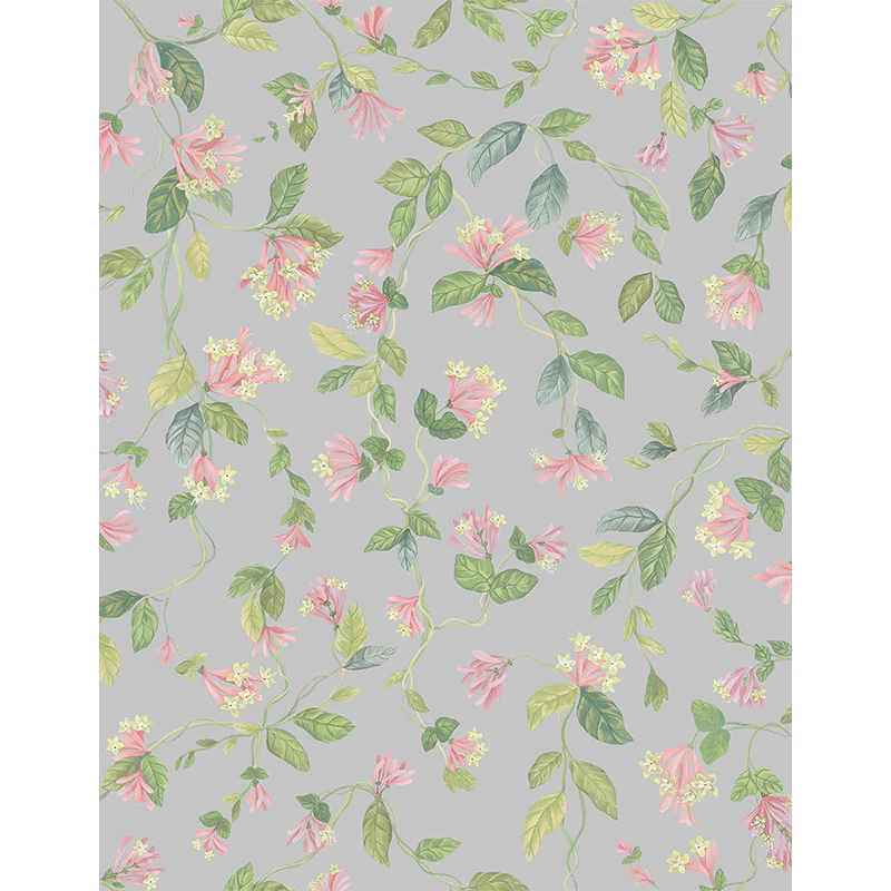 Carta da Parati "Flora Rose & Olive on Grey" Selection of Hummingbirds | COLE & SON