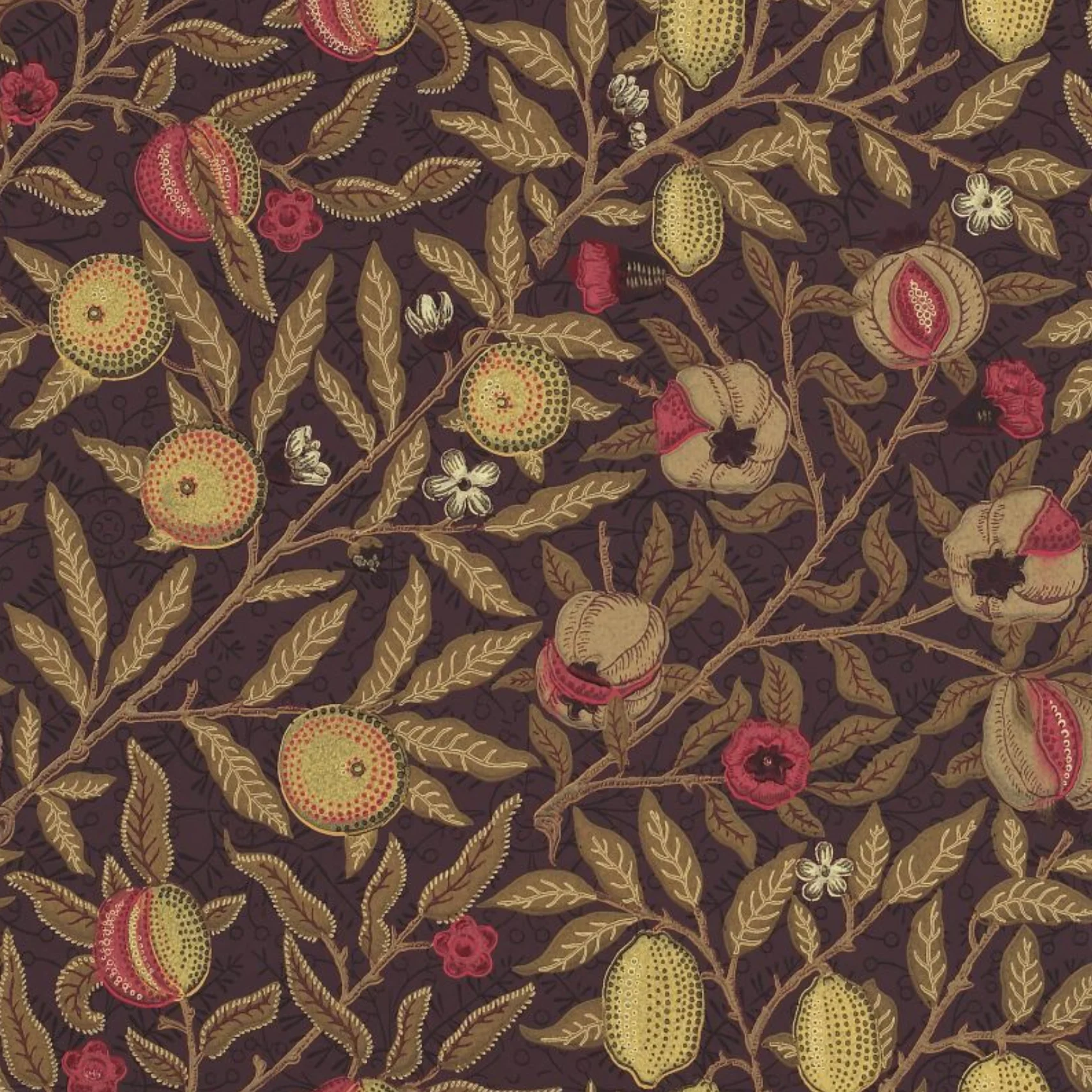Carta da parati “Fruit” marrone, catalogo Morris & Friends a metraggio o rotolo