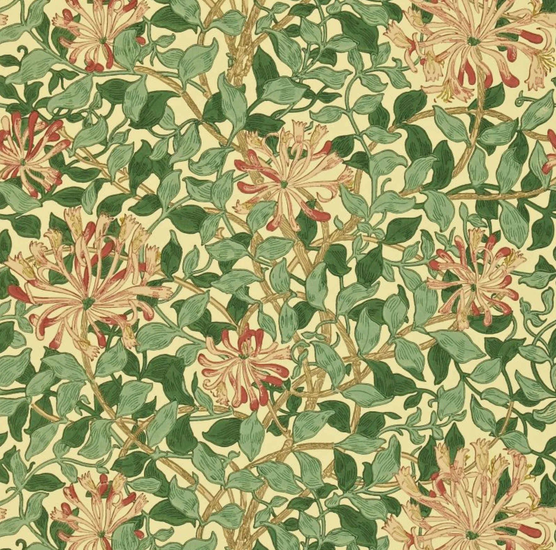 Carta da parati “Honeysuckle” verde, catalogo Morris & Friends a metraggio o rotolo
