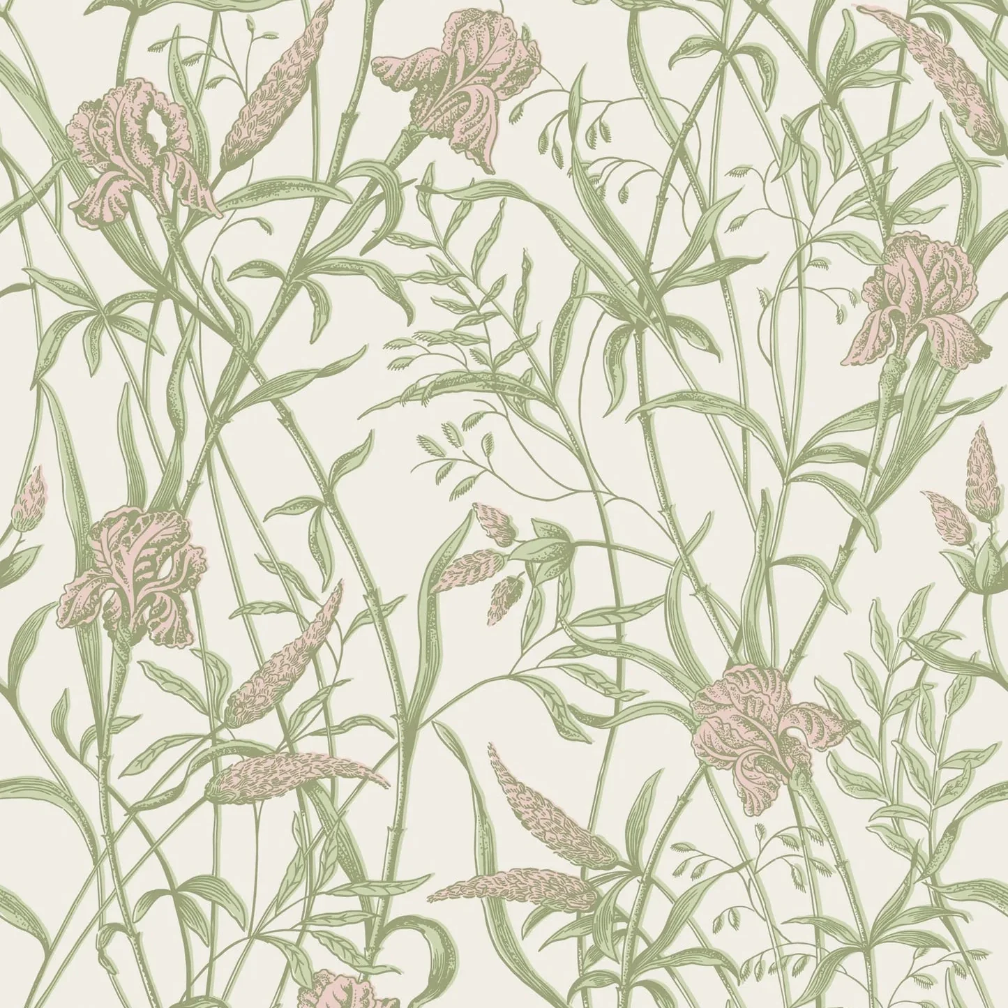 Carta da Parati “Iris verde e rosa" | COLE & SON CLASSICS VOL. 2