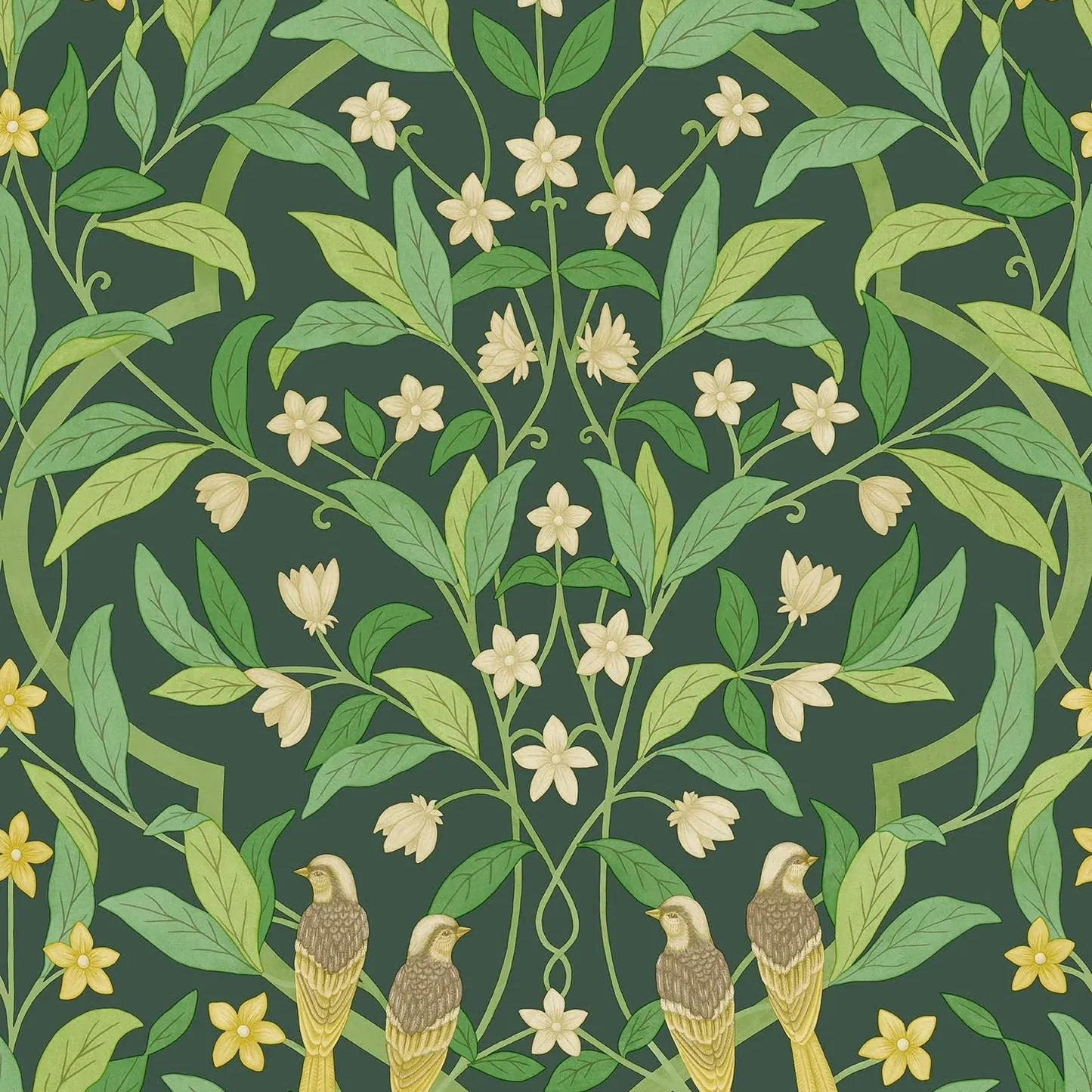Carta da Parati “Jasmine & Serin Symphony verde” | COLE & SON