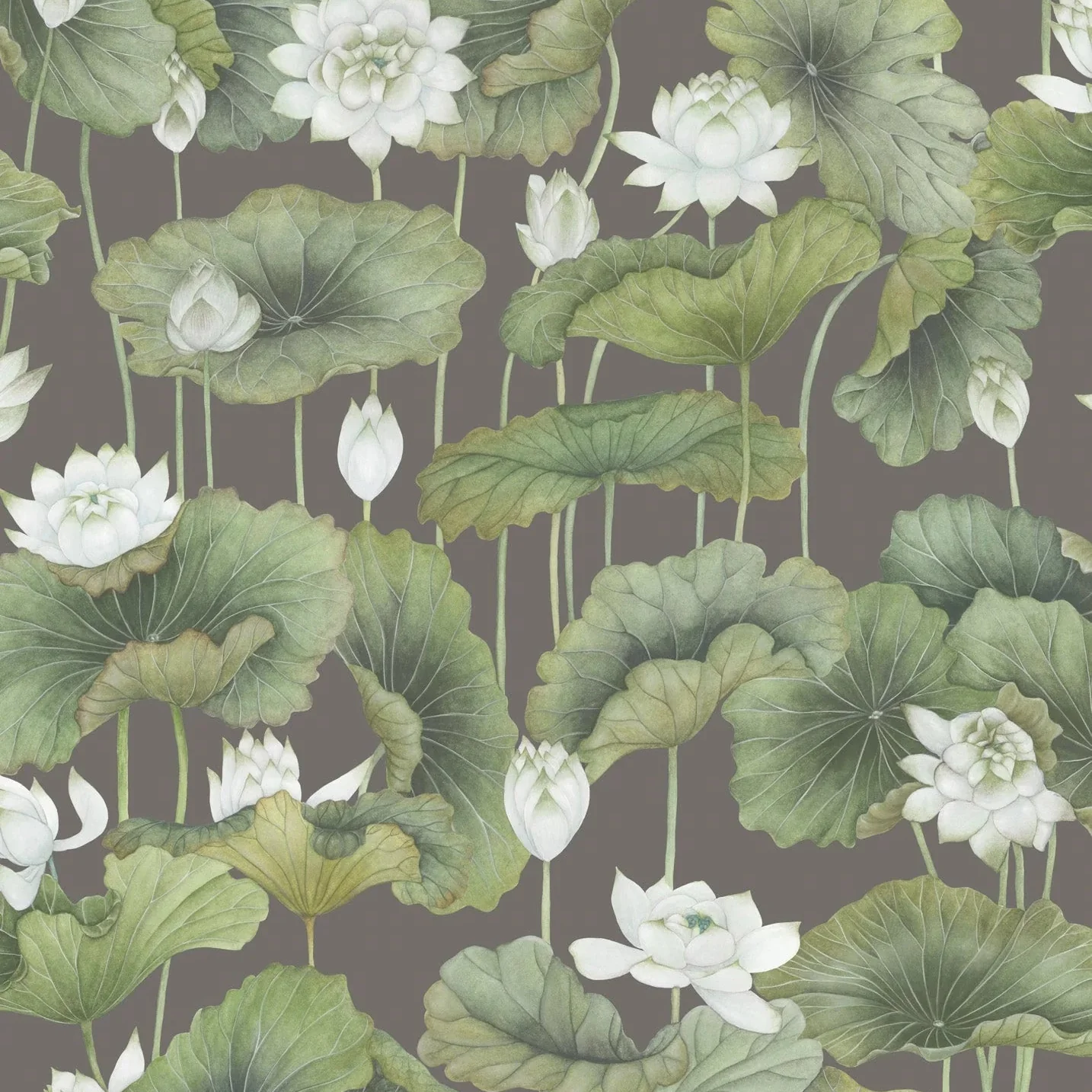 Carta da parati "Lily Lotus verde" - YOKU | COLE&SON