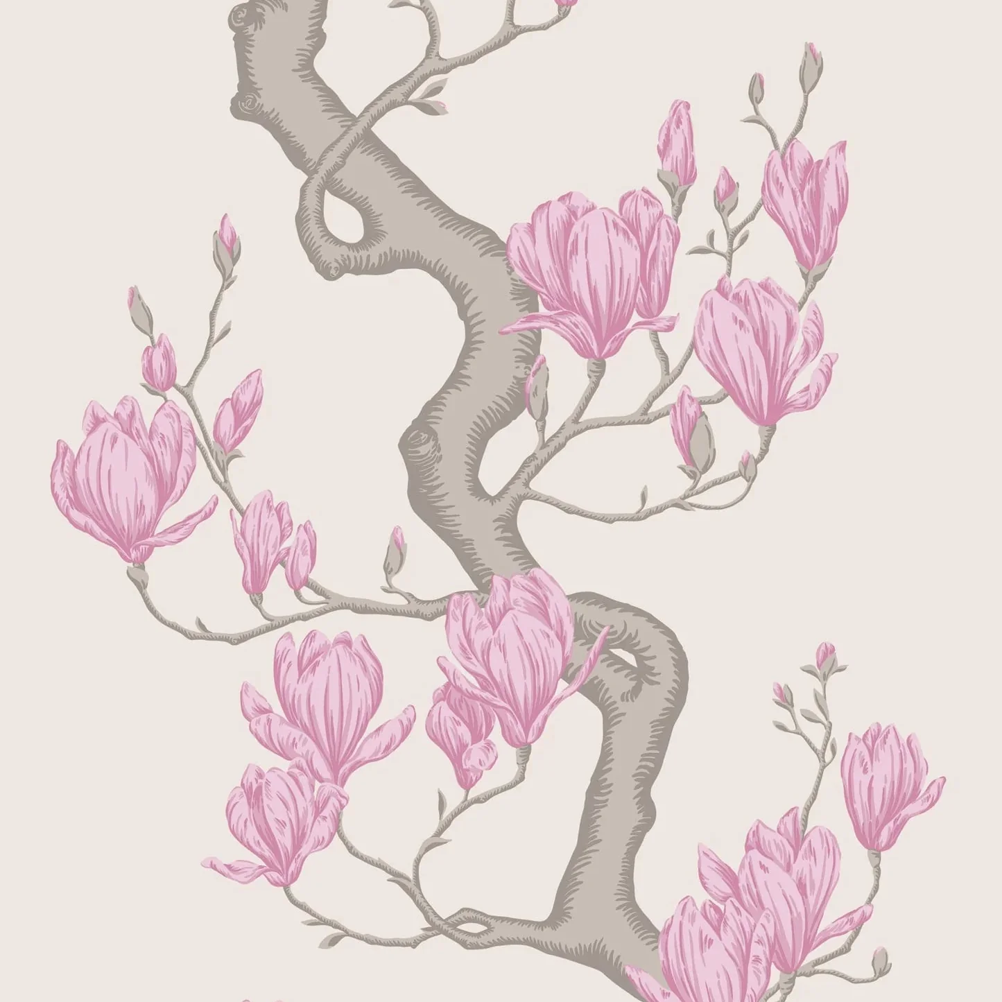 Carta da Parati “Magnolia Tree fondo beige" | COLE & SON CLASSICS VOL. 2