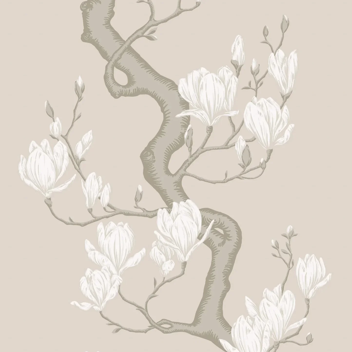 Carta da Parati “Magnolia Tree fondo beige e petali bianchi" | COLE & SON CLASSICS VOL. 2