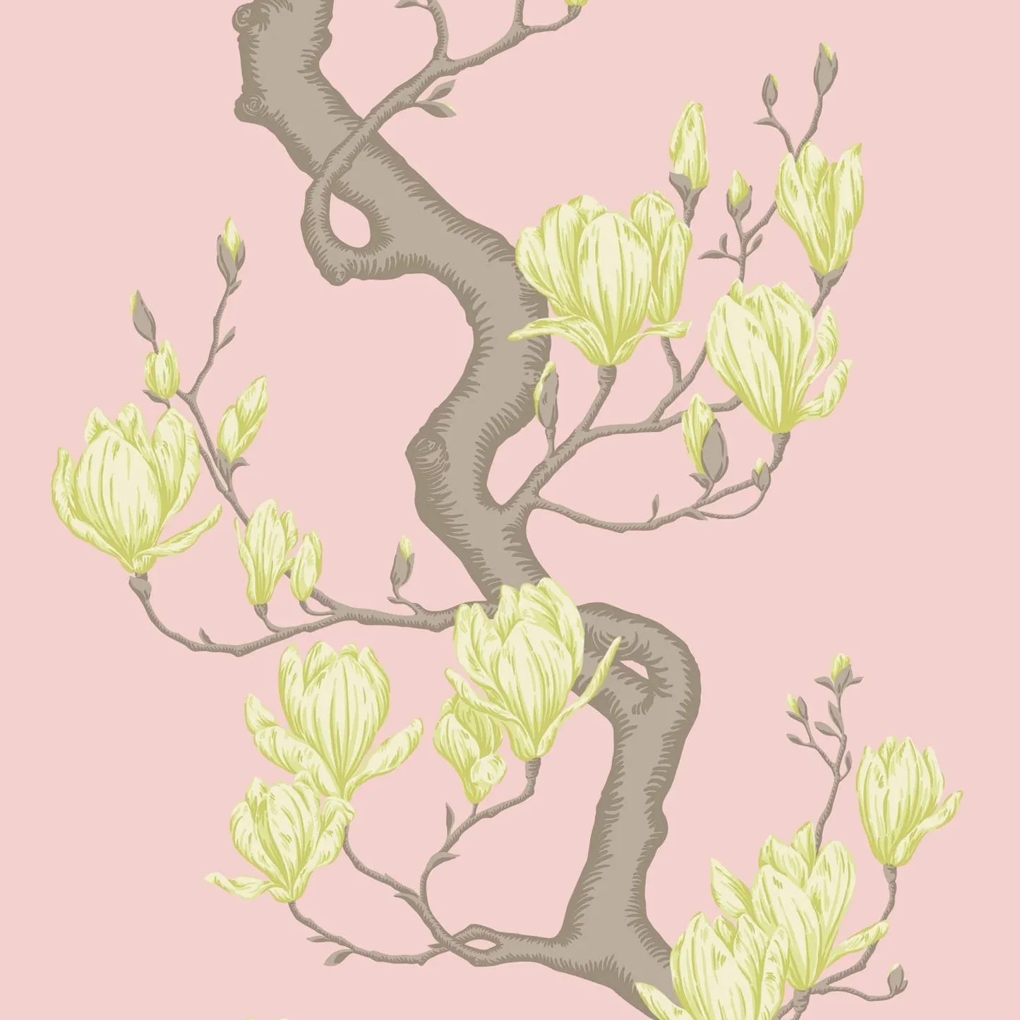 Carta da Parati “Magnolia Tree fondo rosa e petali gialli" | COLE & SON CLASSICS VOL. 2