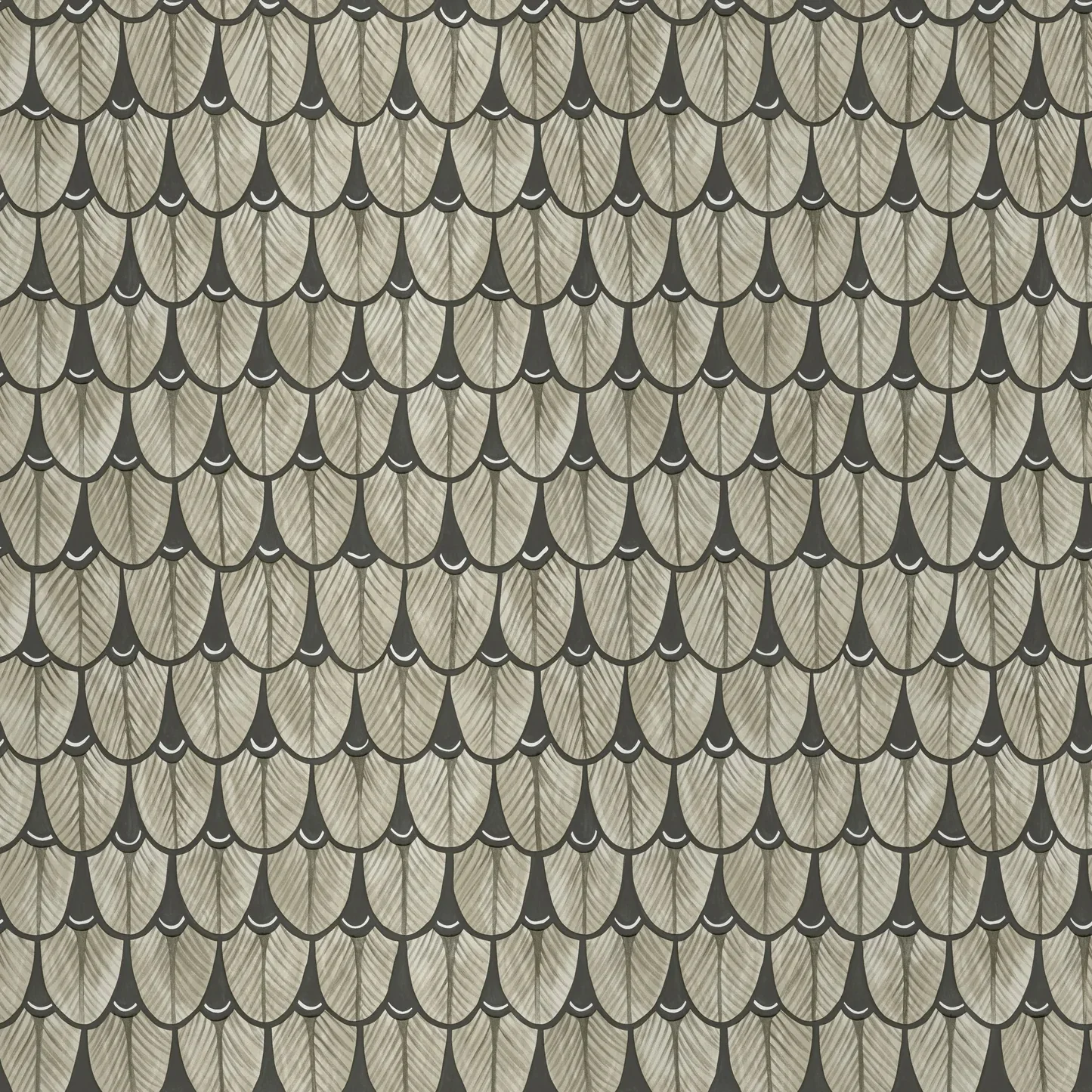 Carta da Parati “Narina Baobab grigio" | COLE & SON ARDMORE BAOBAB