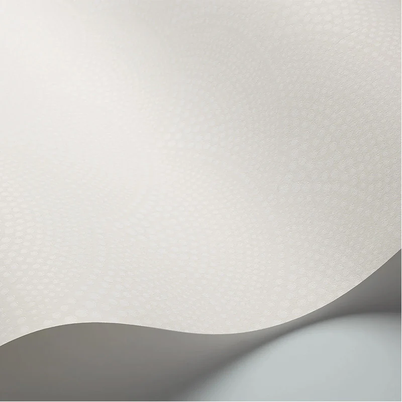 Carta da Parati "FEATHER FAN BIANCO & AVORIO" The Contemporary | COLE & SON - Image 2