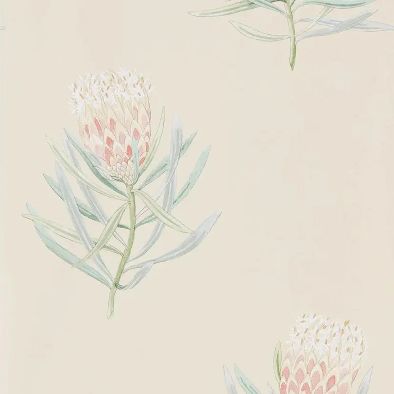 Carta da parati "Protea Flower Pesca" - Curios - SANDERSON