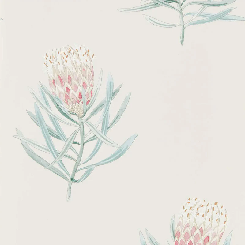 Carta da parati "Protea Flower Rosa" - Curios - SANDERSON