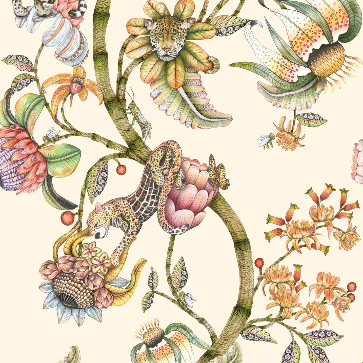 Carta da Parati “Protea Panthera beige" | COLE & SON ARDMORE BAOBAB