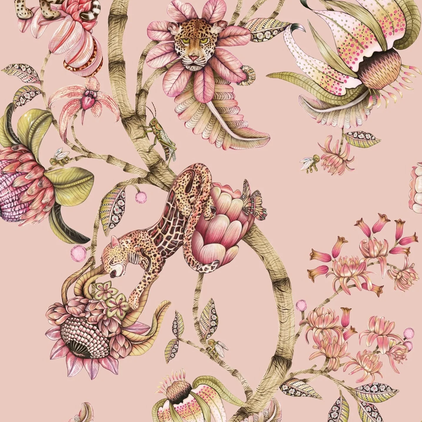 Carta da Parati “Protea Panthera rosa" | COLE & SON ARDMORE BAOBAB
