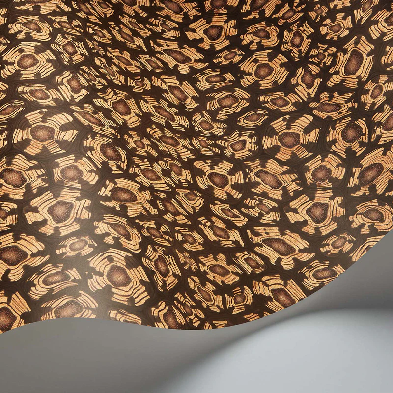 Carta da Parati "SAVANNA SHELL MARRONE" Jabula-Ardmore | COLE & SON - Image 2
