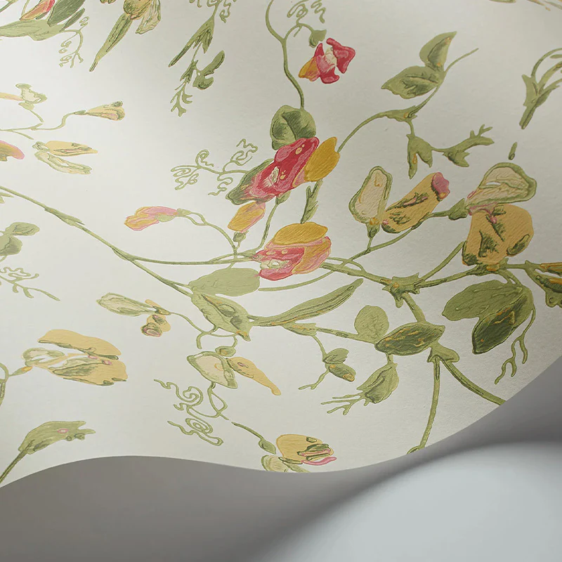 Carta da Parati "SWEET PEA Archive Anthology Yellow & Coral on Cream" Botanical | COLE & SON - Image 2