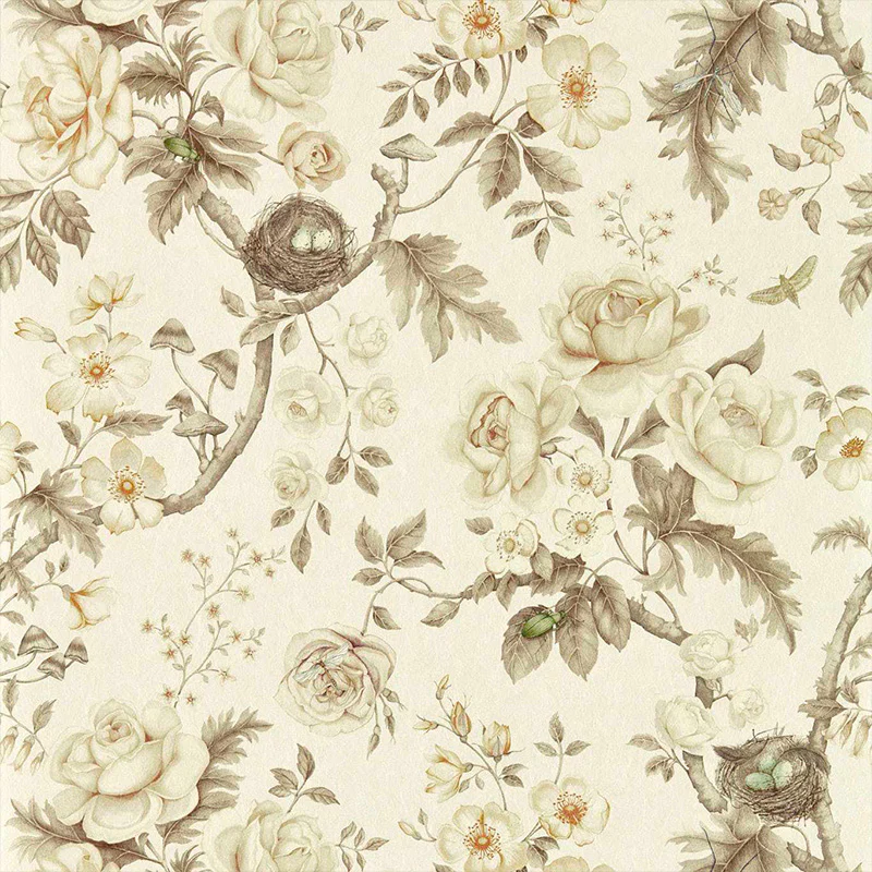 Carta da parati "TANSY BLOOM OYSTER" - SANDERSON
