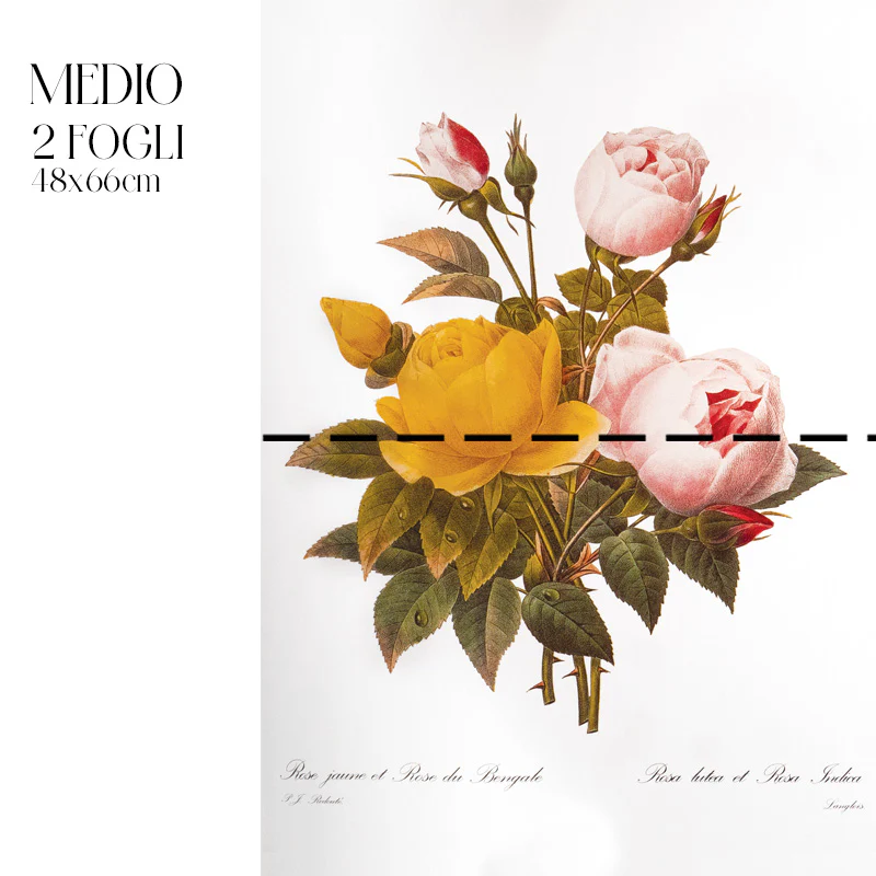 Dècoupage Botanical Vintage - Bouquet di Rose - Image 3