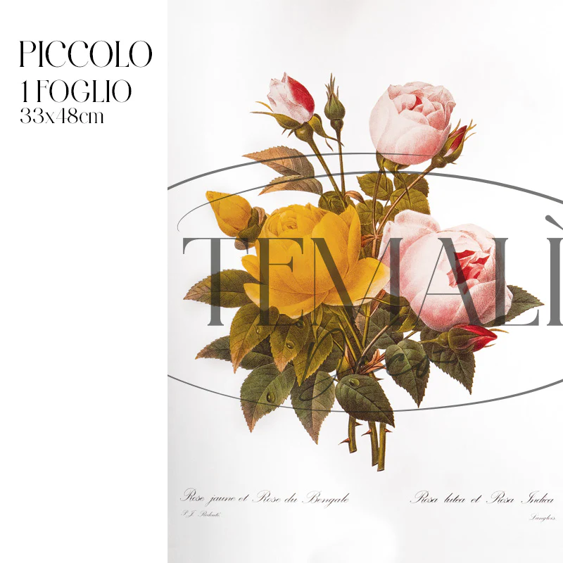 Dècoupage Botanical Vintage - Bouquet di Rose - Image 4