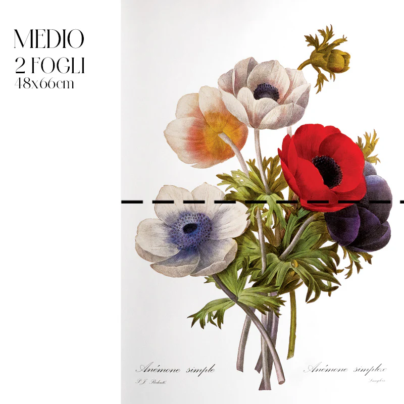 Dècoupage Botanical Vintage - Composizione Anemoni - Image 3