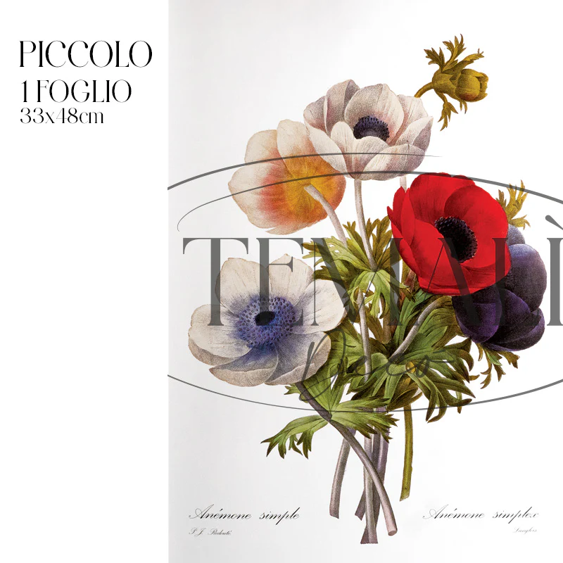 Dècoupage Botanical Vintage - Composizione Anemoni - Image 4