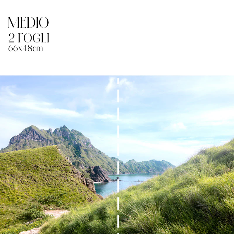 Découpage Mare - Comodo - Image 3