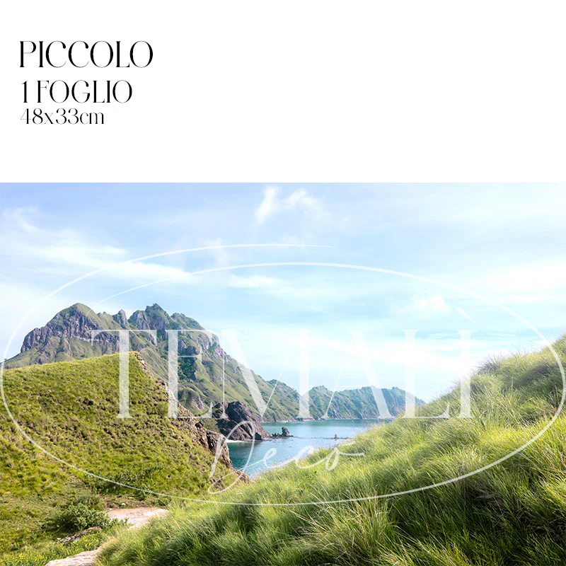 Découpage Mare - Comodo - Image 4