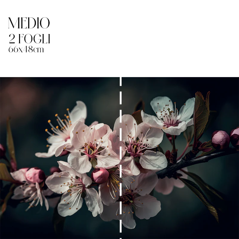 Dècoupage Modern Flora - Fiori di Ciliegio - Image 4