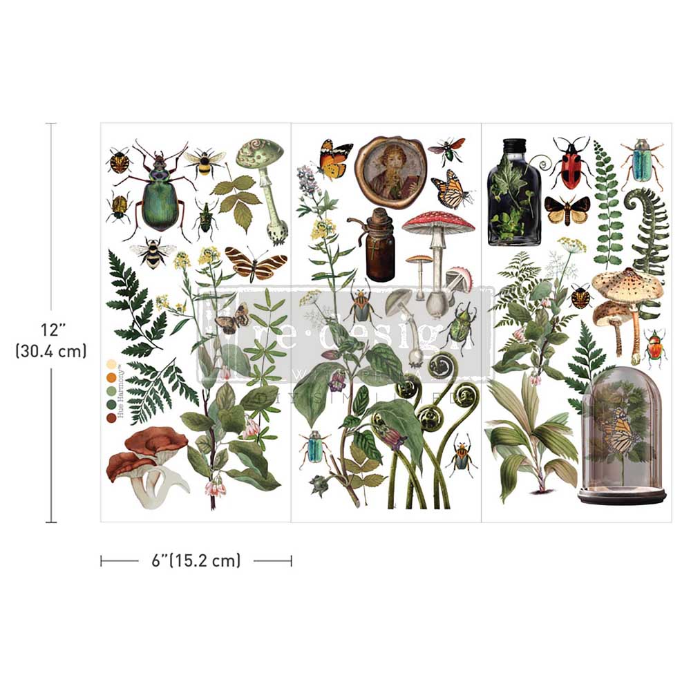 Redesign Decor Transfers "Botanical Archives" 15 x 30,5 cm