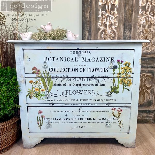 Redesign Decor Transfers "BOTANICAL MAGAZINE" 61 x 89 cm - Image 3