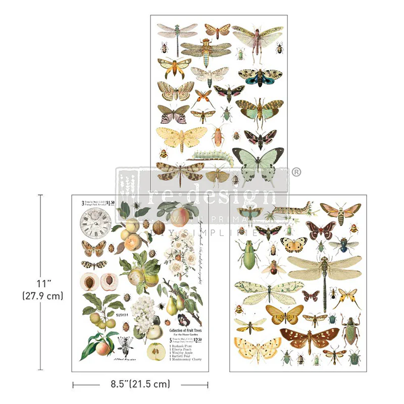 Redesign Decor Transfers “BUG WHISPERER” 21,5x28 cm