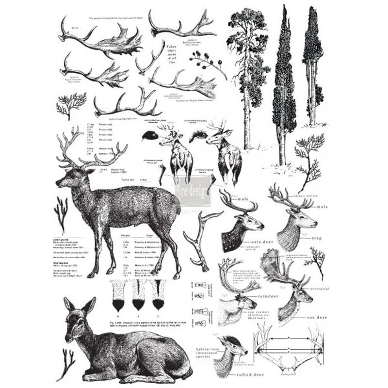 Redesign Decor Transfers “DEER” 58x84 cm
