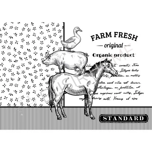 Stampa Trasferibile “COUNTRY, FARM FRESH ORIGINAL” 28×40 cm - Image 2