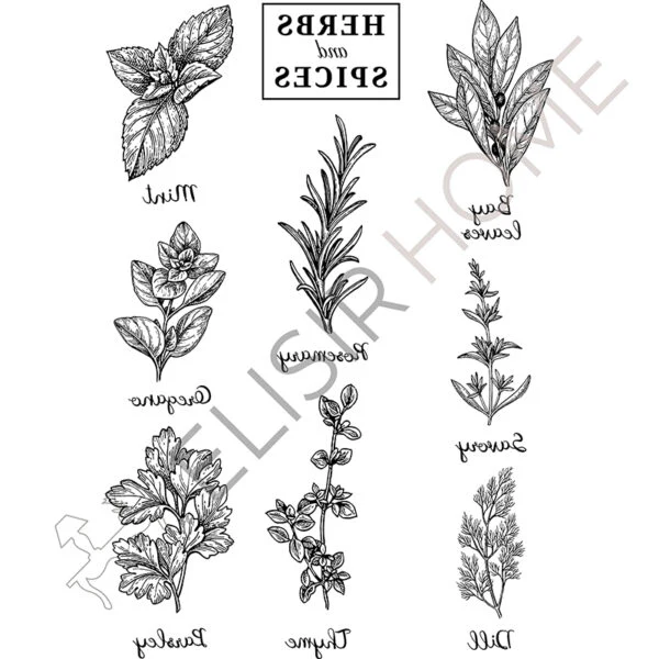Stampa Trasferibile “COUNTRY, HERBS AND SPICES” 28×40 cm - Image 2