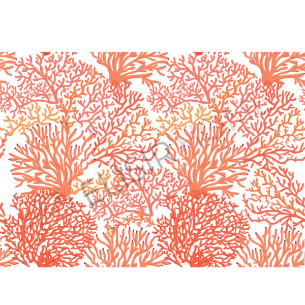 Stampa Trasferibile “FANTASIA, CORALLI ” 28×40 cm - Image 2