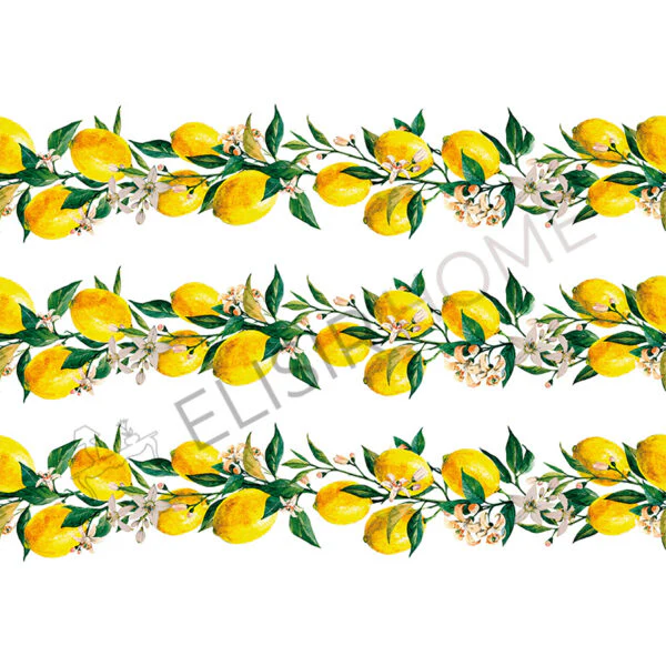 Stampa Trasferibile "FANTASIA, GHIRLANDA LIMONI" 28x40 cm - Image 2