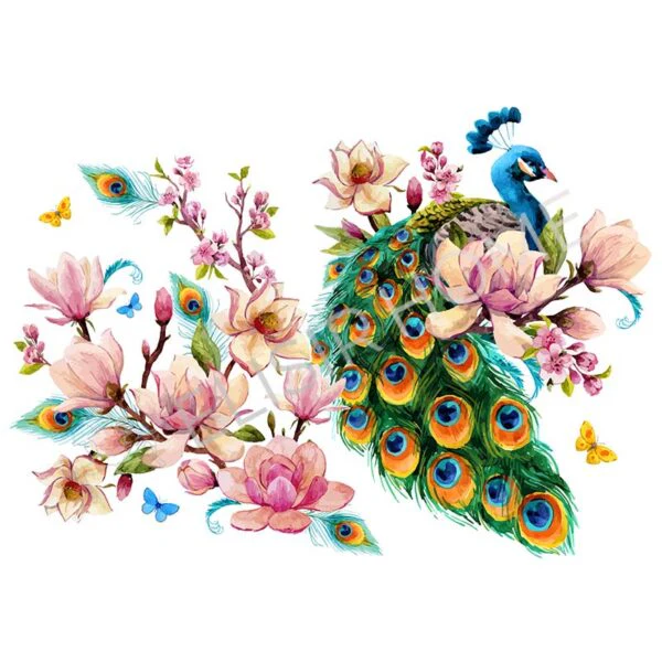 Stampa Trasferibile "PRIMAVERA, PEACOCK DREAM" 28X40 cm - Image 2