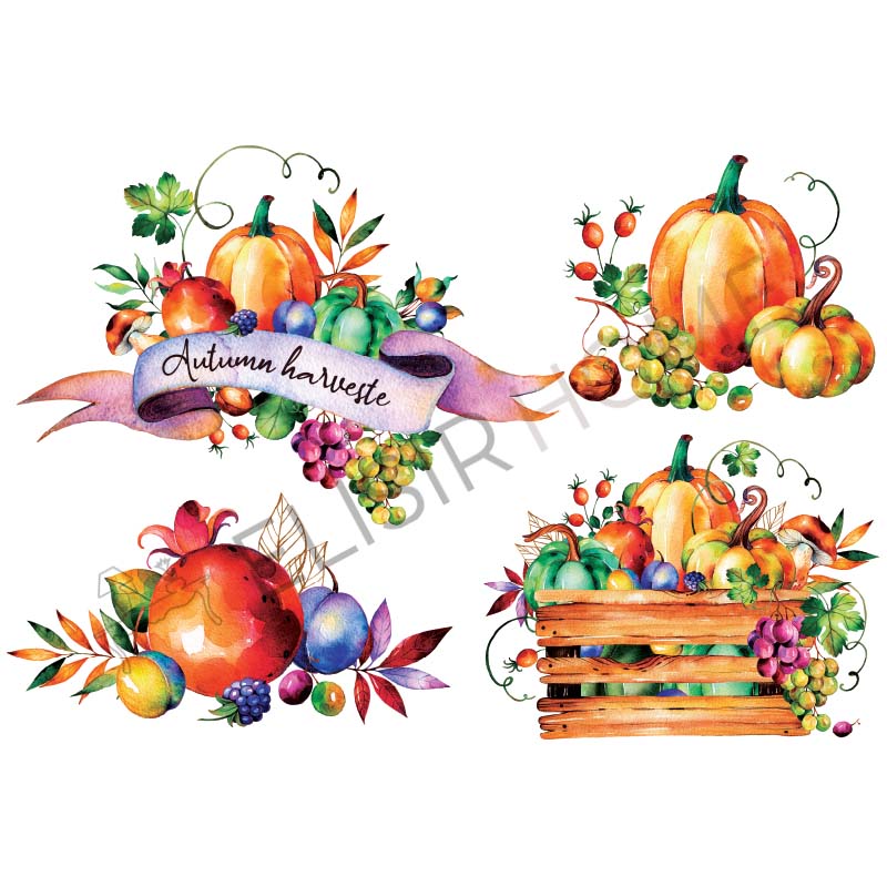 Stampa Trasferibile “AUTUNNO, AUTUMN HARVESTE” 28×40 cm - Image 2