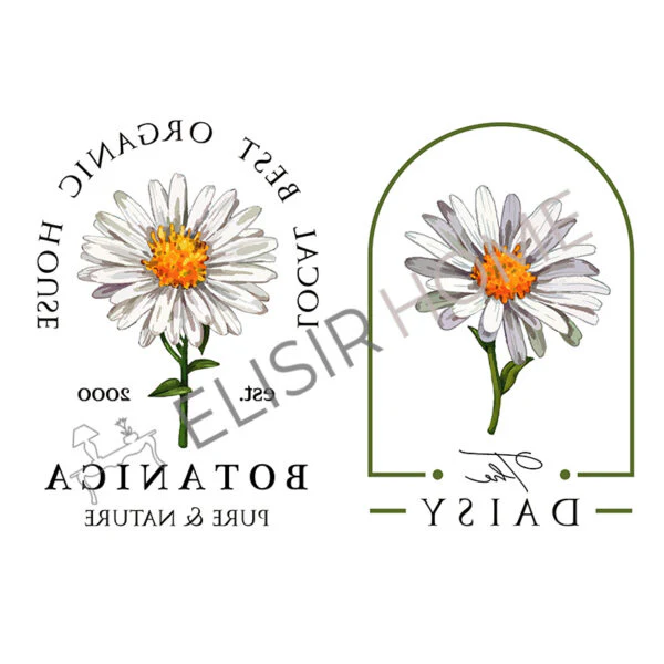 Stampa Trasferibile “SCRIPT, DAISY” 28×40 cm - Image 2