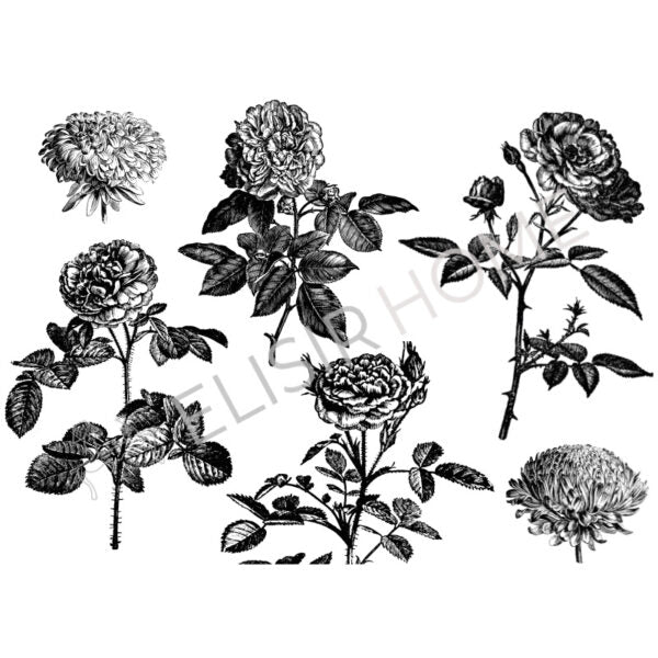 Stampa Trasferibile "VINTAGE, DRAWING FLOWER" 28x40 cm - Image 2